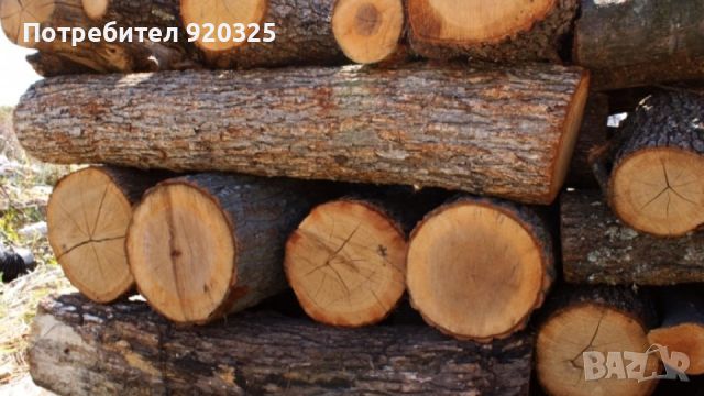 Продавам дърва за огрев, снимка 1 - Дърва за огрев - 46365842