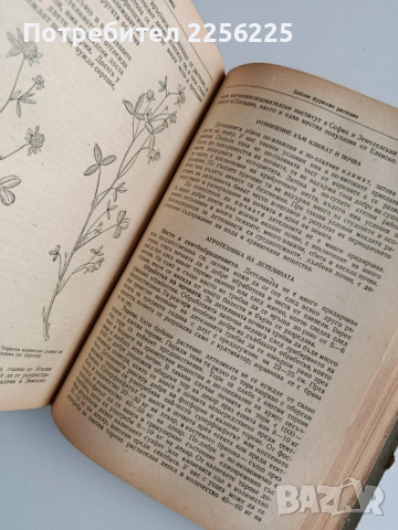 Растениевъдство 1954г, снимка 12 - Специализирана литература - 53124526
