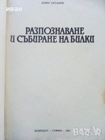 Разпознаване и събиране на билки - Борис Китанов - 1987г., снимка 2 - Енциклопедии, справочници - 53286255