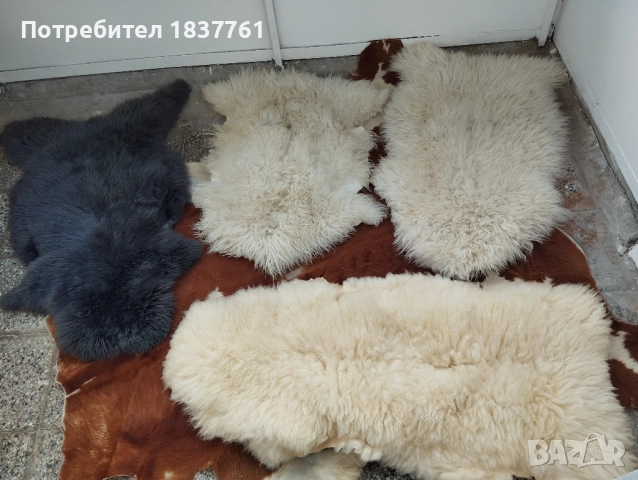 Естествени кожи , снимка 2 - Декорация за дома - 51897338