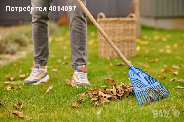 Почистване на дворове /дворни места/, извозване на храсти и отпадъци., снимка 1 - Почистване на домове - 45618211