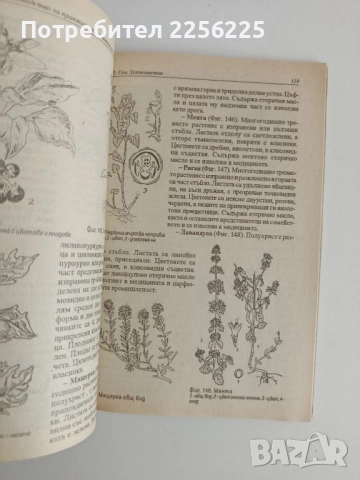 Ръководство за практически занятия по ботаника с екология, снимка 5 - Специализирана литература - 52170323