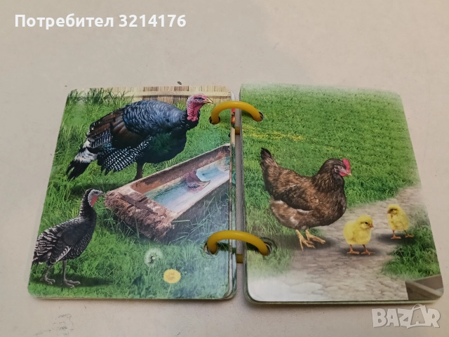 Бебетата на животните (2020, Изд.Ина, книжка с дръжка), снимка 4 - Детски книжки - 52576329