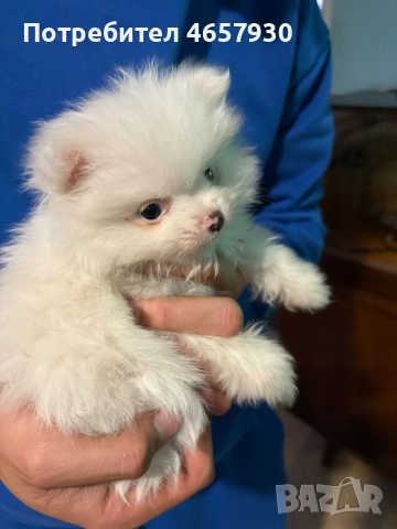 Момче и Момиче на 70 дни