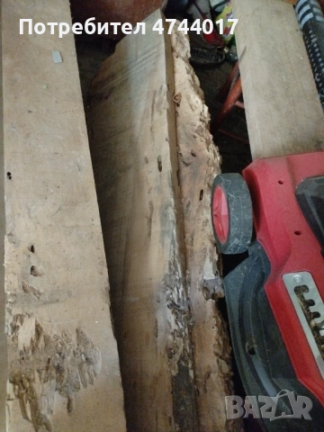 Сухи Талпи от Орех , снимка 6 - Други - 54011466