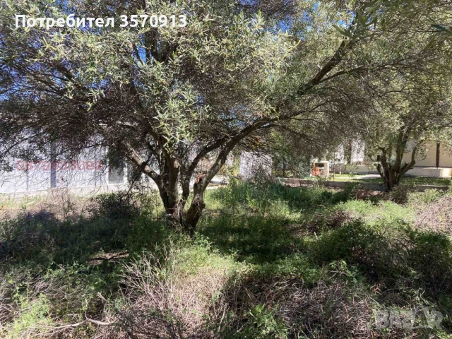 Парцел в Халкидики, снимка 2 - Парцели - 52634297