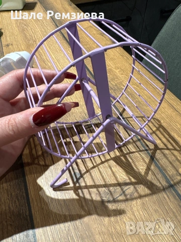 Всичко за хамстери, снимка 9 - Хамстери - 53649660