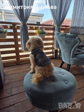 Бунгало АКВАМИРА къмпинг Созопол Еко 