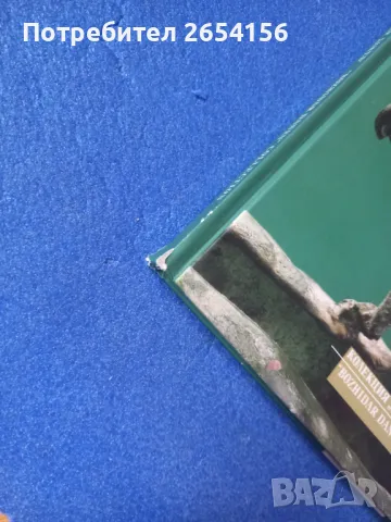 Съвременна българска скулптура Колекция "Божидар Данев", снимка 3 - Енциклопедии, справочници - 49695033