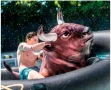 Голям надуваем бик за водно родео, снимка 4