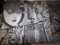 he Art of Junji Ito: Twisted Visions, Джунджи Ито  , снимка 2