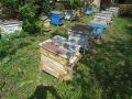 Иноксова центрофуга за пчелен мед и около 80 броя празни кошери , снимка 2