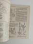 Ръководство за практически занятия по ботаника с екология, снимка 5