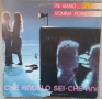 Al Bano & Romina Power ‎– Che Angelo Sei Издание 🇮🇹 ITALY 1982г-GATEFOLD Състояние на винила:VG+ С, снимка 2