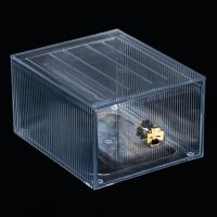 Декоративна кутия Liberta, Златиста дръжка, Цвете, Прозрачна, 19.5 x 15.3 x 10 см, снимка 4 - Други - 45700177