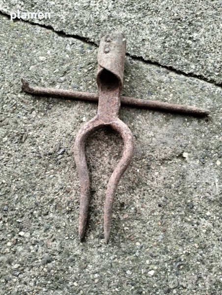 Двузъбец за вадене на цвекло, снимка 1