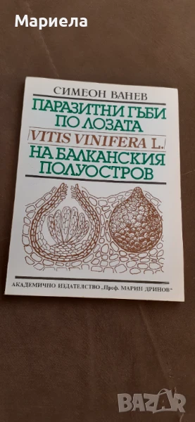 Паразитни гъби по лозата, снимка 1