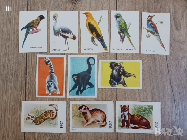 Календарчета с животни - за колекционери, снимка 3 - Колекции - 52257660
