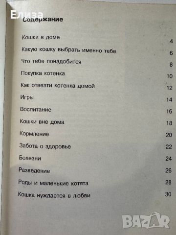 Кошка. Песчанки. Книга 2 в 1, снимка 6 - Енциклопедии, справочници - 45608111