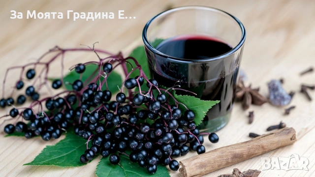 Подбрани Билки и Подправки за вас! , снимка 2 - Градински цветя и растения - 53744109