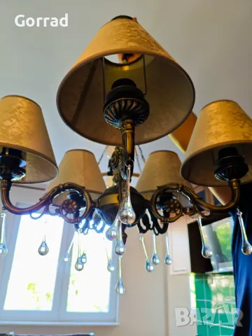 Полилей нов! , снимка 2 - Полилеи - 50080802