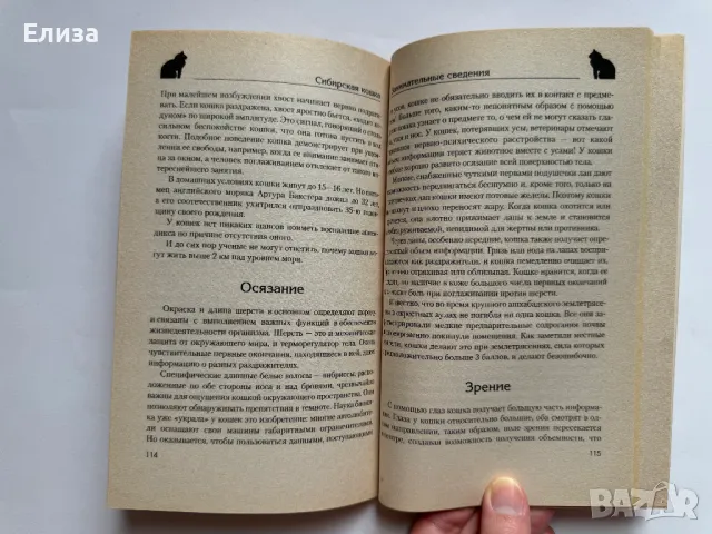 Сибирская Кошка. История. Стандарт. Содержание. Разведение. Выставки., снимка 8 - Специализирана литература - 47087516