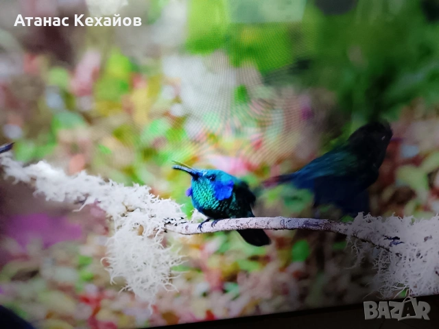 TV Samsung , снимка 7 - Телевизори - 53888815