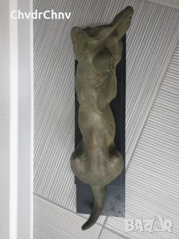 51см-9кг Carvin ЦAM статуетка/стара френска скулптура/фигура на куче-немска овчарка, снимка 16 - Статуетки - 52989414