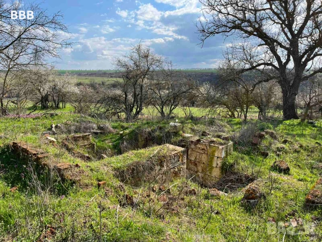 Имот в село Побит камък община Разград , снимка 4 - Къщи - 54159937