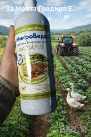 Тор - Ефективни микроорганизми 