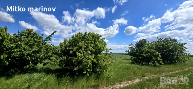 Продава се , снимка 8 - Земеделска земя - 52515931