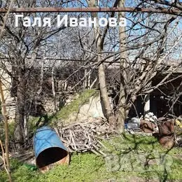 Два парцела в с.Оряховица, снимка 3 - Парцели - 49889250