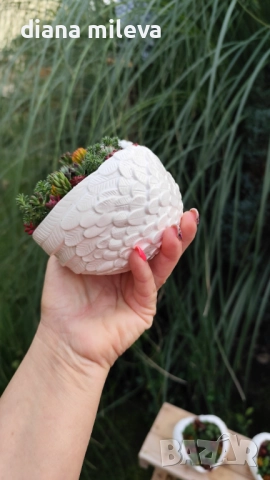 Гипсокерамични крила с формата на сърце и с живи студоустойчиви сукуленти!, снимка 5 - Декорация за дома - 52435989