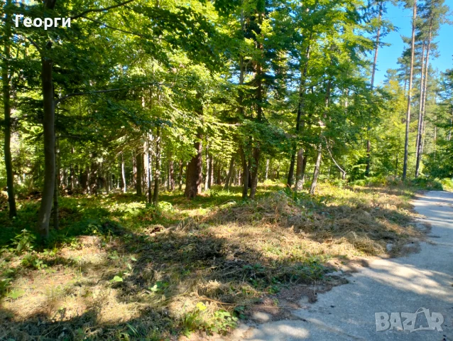 Имот хижа Здравец, снимка 6 - Земеделска земя - 50966083