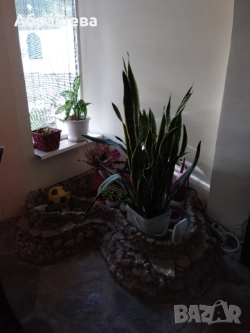 Имот от собственик , снимка 12 - Къщи - 51961370