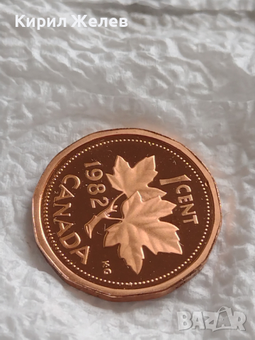 Лот монети 6 броя Канадски долари, центове непипани мат гланц перфектно състояние 42636, снимка 6 - Нумизматика и бонистика - 45021042