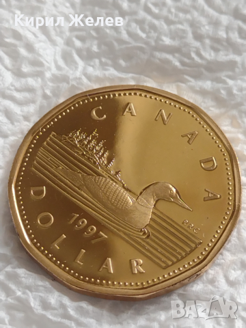 Лот монети 10 броя Канадски долари, центове непипани мат гланц перфектно състояние 42643, снимка 11 - Нумизматика и бонистика - 45020965