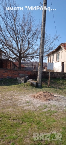 Къща с дворно място в село Шишманово обл. Хасково, снимка 3 - Къщи - 52525162