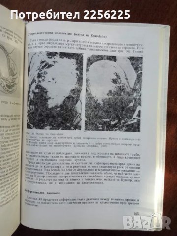 Бременност с висок риск, снимка 3 - Специализирана литература - 50183968