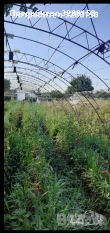Оранжерия продавам , снимка 2 - Оранжерии - 53940029