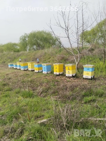 Кошери + центрофуга