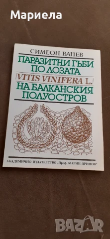 Паразитни гъби по лозата