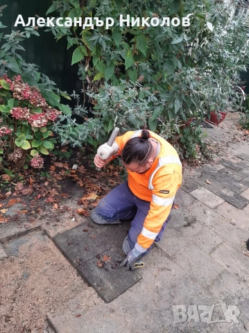 озеленяване рязане на високи дървета чистене на градини оформяне на жива плет , снимка 13 - Строителни работници - 53126101