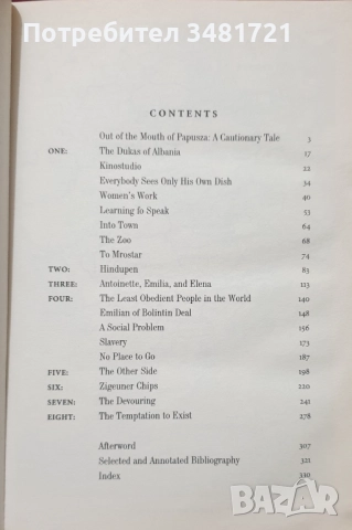 Цигани, роми, възродителен процес - история, архиви, снимка 7 - Художествена литература - 52640474