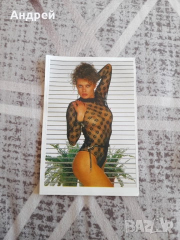 Календарче 1990