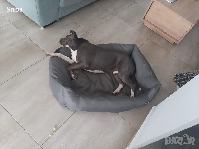 Удобно легло за домашни любимци, диван за кучешка къщичка, 100 x 70 см, снимка 5 - За кучета - 51892724