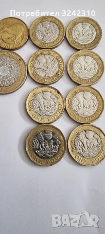 Монети Кралица Елизабет II, Генерална дирекция Б., REG.FD Паунд, снимка 6 - Нумизматика и бонистика - 53310732