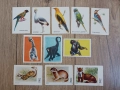 Календарчета с животни - за колекционери, снимка 3