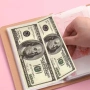 Албум за 100 банкноти, класьор за банкноти колекция пари калъф джоб, снимка 5