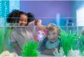 Animagic: Lets Glo Axolotl - Pink Интерактивен електронен домашен любимец за деца 4+ години, снимка 3